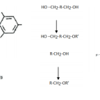 THE ASSESSMENT OF INVENTIVE STEP IN CHEMISTRY